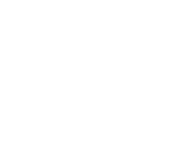 Carrefour logo